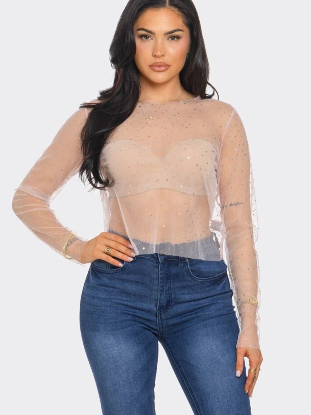 Mesh Top Glitter Sheer Organza Long Sleeve Blouse